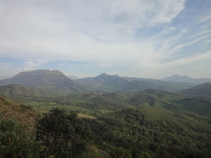 Looking out over the valeys of tea plantations that soround the town of Munnar